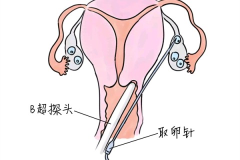 http://yh-yy.cn/post/188.html|新闻中心
