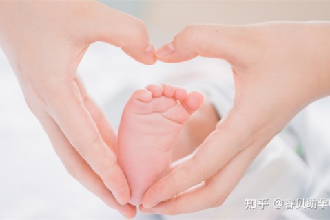 http://yh-yy.cn/post/213.html|服务项目